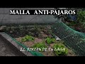 MALLA ANTI-PÁJAROS PARA HORTALIZAS