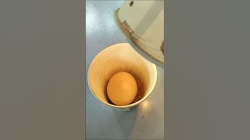 home made incubator #youtube #diy #experimnent #shorts#hatching