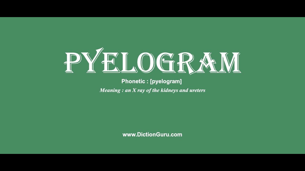 Pyelongram pyelogram: Pronounce pyelogram with Meaning, Phonetic, Synonyms and ...
