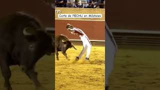 Corte de PECHU en Móstoles #shorts