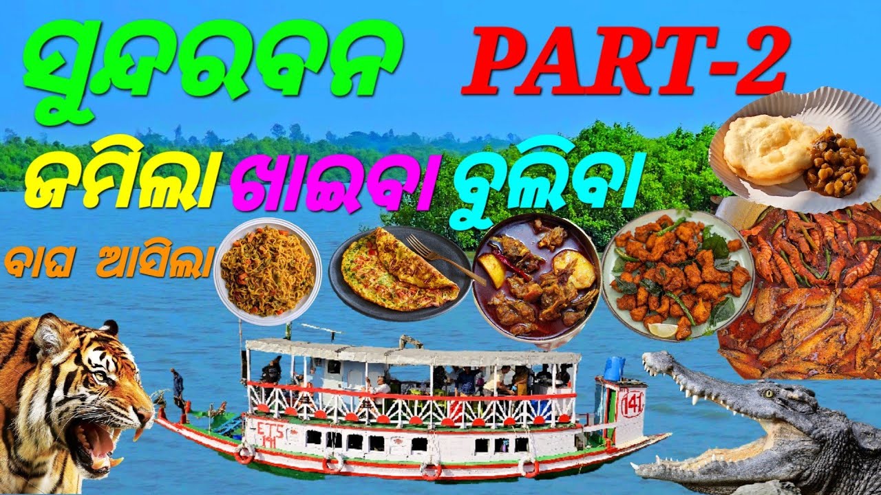 ବୁଲିଲୁ😋ଖାଇଲୁ 🥘ବାଘ🐅ଦେଖିଲୁ 🌳ସୁନ୍ଦରବନ ରେ 🐊 #sundarban#foodlover#viralvideo