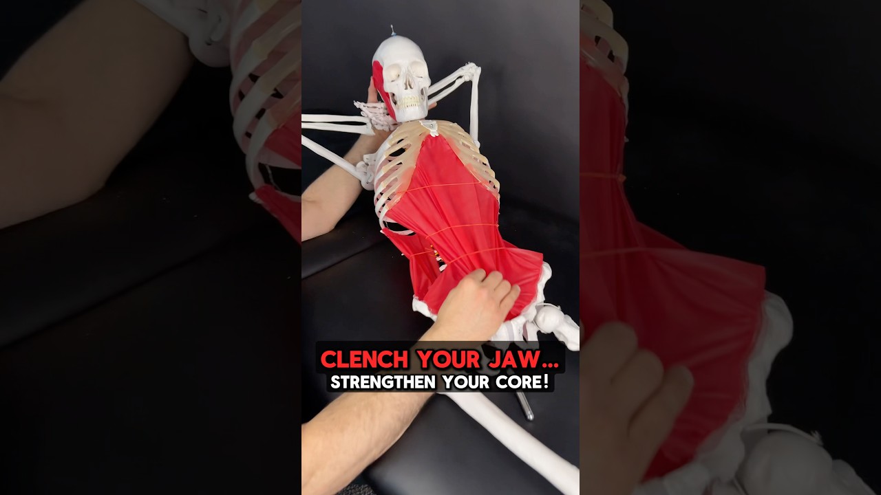 Clench Your JAW… Strengthen Your CORE!