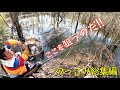 いよいよのっこみの時期に突入ですね【2023年のっこみ総集編 3月から5月】