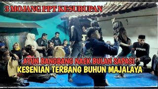 AYUN BANGBANG NAEK BULAN SAPASI ❗ KESENIAN TERBANG BUHUN MAJALAYA 💥3 MOJANG KESURUPAN #terbangan