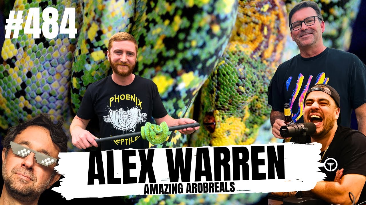 Alex Warren's 10 year plan in the Green Tree Python game | All In The ...