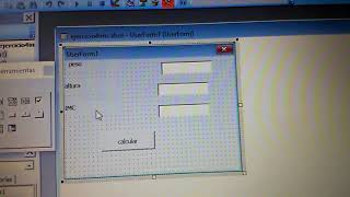 Programa de visual basic IMC
