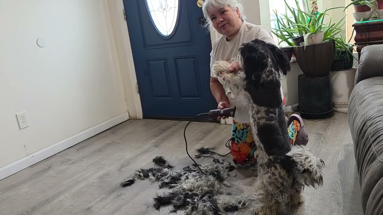 A Paco Le Toco Corte De Pelo Y Le Llegan Donaciones A La Flaca