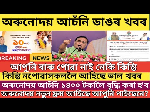 How to apply for arunodoi scheme in assam // Orunodoi asoni big update / Orunodoi 3.0 from fill up