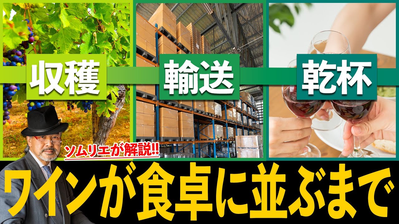【最強のワイン勉強法 後編】普段飲んでいるワインはどうやって運ばれてくるの？