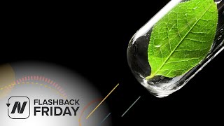 Flashback Friday: Green Smoothies - What Does the Science Say?