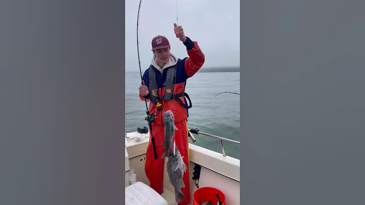 Easy Limits of Rockfish at Bodega Bay