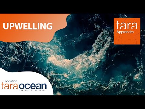 Vidéo: Qui résulte de l'upwelling dans les océans ?