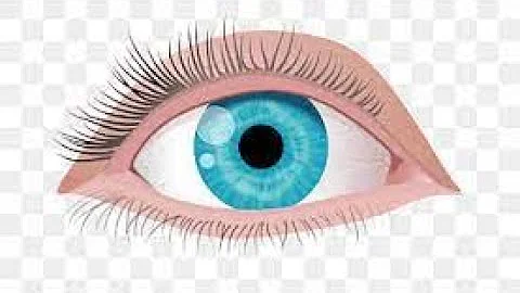 What Your EYES Say About your HEALTH: Doctor Explains