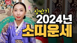 2024년 상반기 소띠 운세!! 28세 40세 52세 64세 #운세 #소띠운세