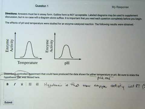 Bio 101 enzyme lab report picture