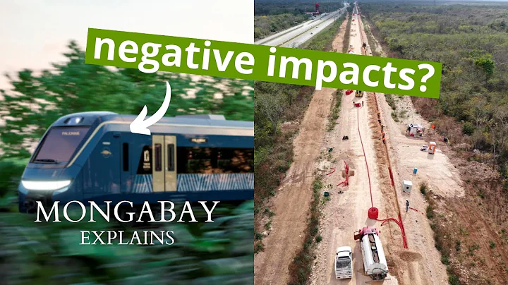 Is the Tren Maya project railroading rural communities and nature? #MongabayExplains