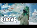 SEA LIFE Orlando Aquarium Tour | ICON Park Attraction | Full Walkthrough 2021 | Florida Tourism Vlog