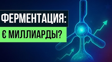 Как ферментация изменит еду в Европе и принесёт миллиарды — сенсационный план ЕС