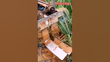 this usa farming machine prepares onion fields so fast 🤯🌱 | #usashorts #farmtech  #viralshorts