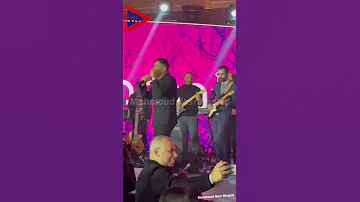 حماقي قلبي حبك جدا 