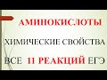 Аминокислоты. Химические свойства. Все 11 реакций ЕГЭ.