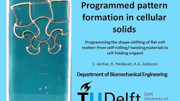 Programmed pattern formation in cellular solids, TU Delft, Prof Amir A Zadpoor