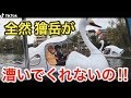 鬼滅の刃ティックトックコスプレ | 鬼滅の刃コスプレ | ティックトックきめつのやいばコスプレ | Funny & Adorable Videos #16