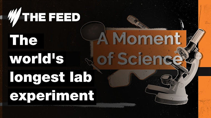 Najdłuższy na świecie eksperyment laboratoryjny | Chwila nauki | SBS The Feed