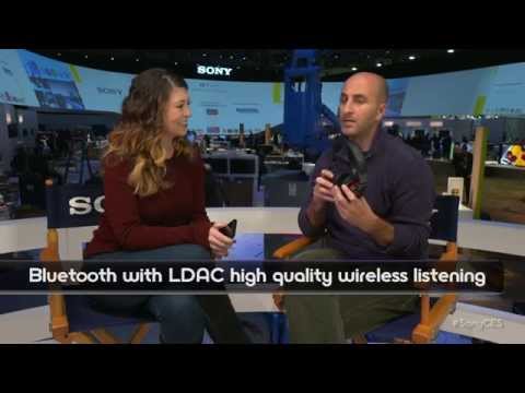 CES 2015: New Hi Res Walkman - NW-ZX2 (FIRST LOOK)