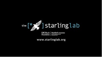 Introducing the Starling Lab