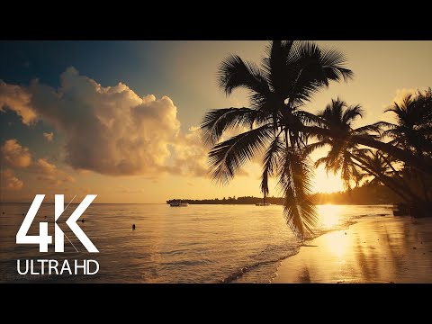 Video: 12 populære strande i Maui