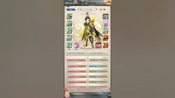 YONG HEROES : TOP 1 SERVER 161 Target