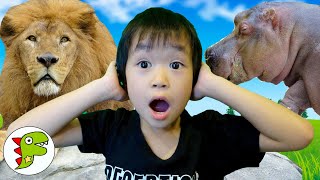 レオくんがおでかけ！円山動物園！ Part90 トイキッズ by Toy Kids★トイキッズ 29,181 views 12 days ago 15 minutes