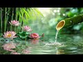 Best classical music. Music for the soul: Mozart, Beethoven, Schubert, Chopin, Bach ... 🎼🎼