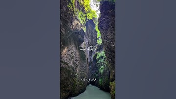 قران كريم ارح قلبك وسمعك #قران_في_دقيقة #quran #شريف_مصطفى #قرآن @قران_في_دقيقة