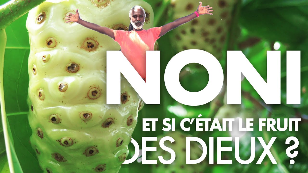NONI, Et SI C’ÉTAIT LE FRUIT DES DIEUX ? - La Tête et Le Corps