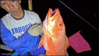 BIG RED SNAPPER sa Longline fishingP1