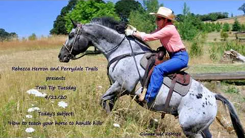 Teach your Trail Horse How to Handle Hills by Rebe...