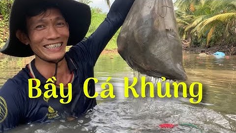 Hôm nay dô mánh lạc vào lãnh địa cá anh em bắt toàn hàng khủng | Cldv #131