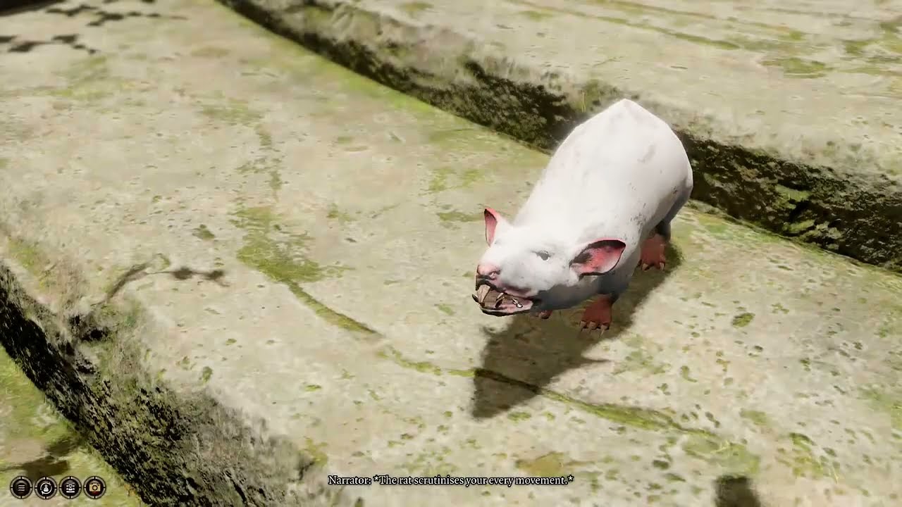 Baldur's Gate 3 - Patch 7 - Bug with Shadow Druids