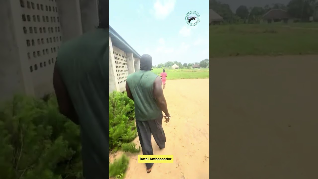 @BurnaBoy Community school renovation @Verydarkblackman  please King mitchy come and watch 