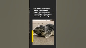 The Mouse That Changed Computing Forever