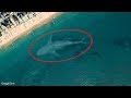 7 Mysterious Deep Sea Creatures Spotted On Google Earth #2