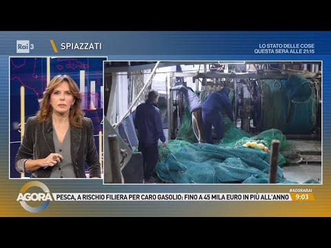 High fuel costs, fishing industry operating at a loss - Agorà 10/26/2026
