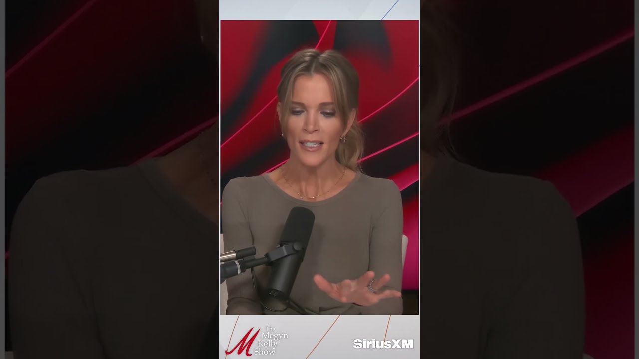  They Re In A True Panic Megyn Kelly Calls Out MSNBC Hysterics About Jailing Journalists
