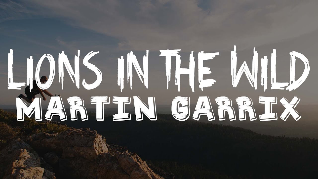 Martin Garrix & Third Party - Lions In The Wild (Lyrics) - YouTube