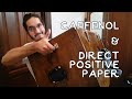 Caffenol & Direct Positive Paper - 8x10 Box Camera