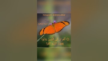 الم ترى الي الذين بدلوا نعمة الله#تلاوة للقاريء الشيخ#إدريس_أبكر من#سورة_إبراهيم