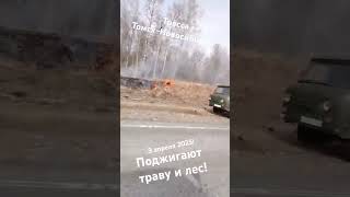 3 апреля Жгут траву у лесов в Сибири!Новосибирск-Томск