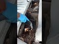Hyundai Santa Fe Full Wash & Detail | Satisfying Car Cleaning Video 🚗✨